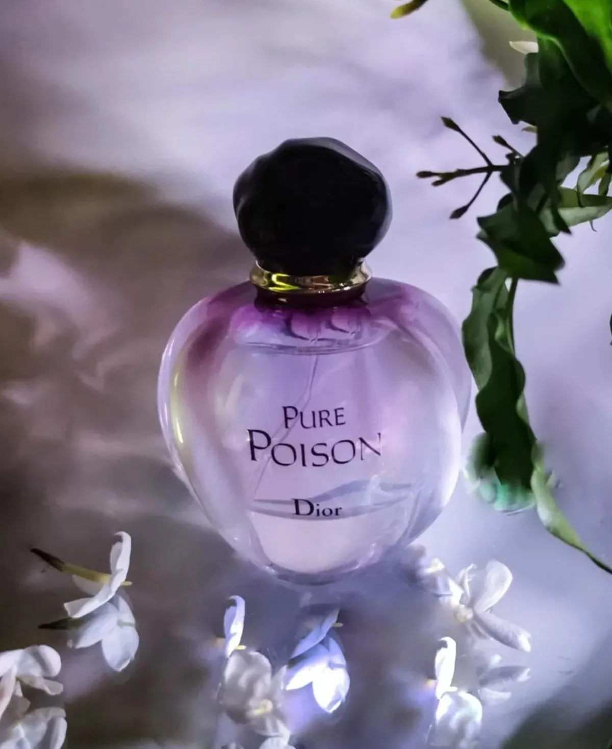 Christian Dior Pure Poison Eau de Parfum EDP Spray for Women