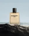 Burberry Hero Eau de Toilette EDT Spray for Men