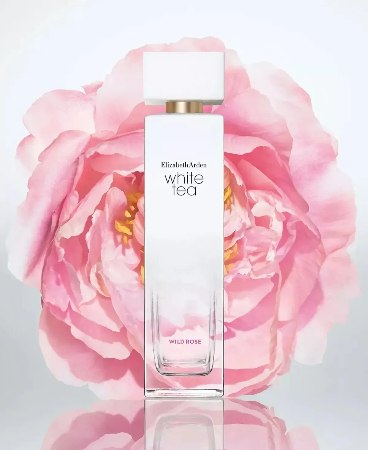 Elizabeth Arden White Tea Wild Rose Eau de Toilette EDT Spray for Women